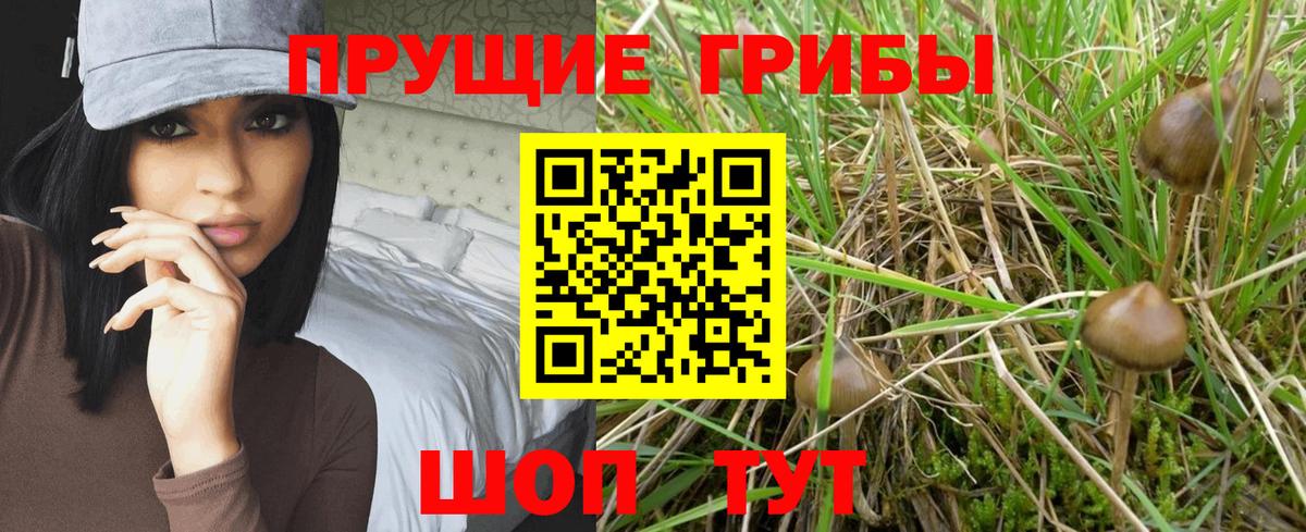 Галлюциногенные грибы GOLDEN TEACHER Азнакаево